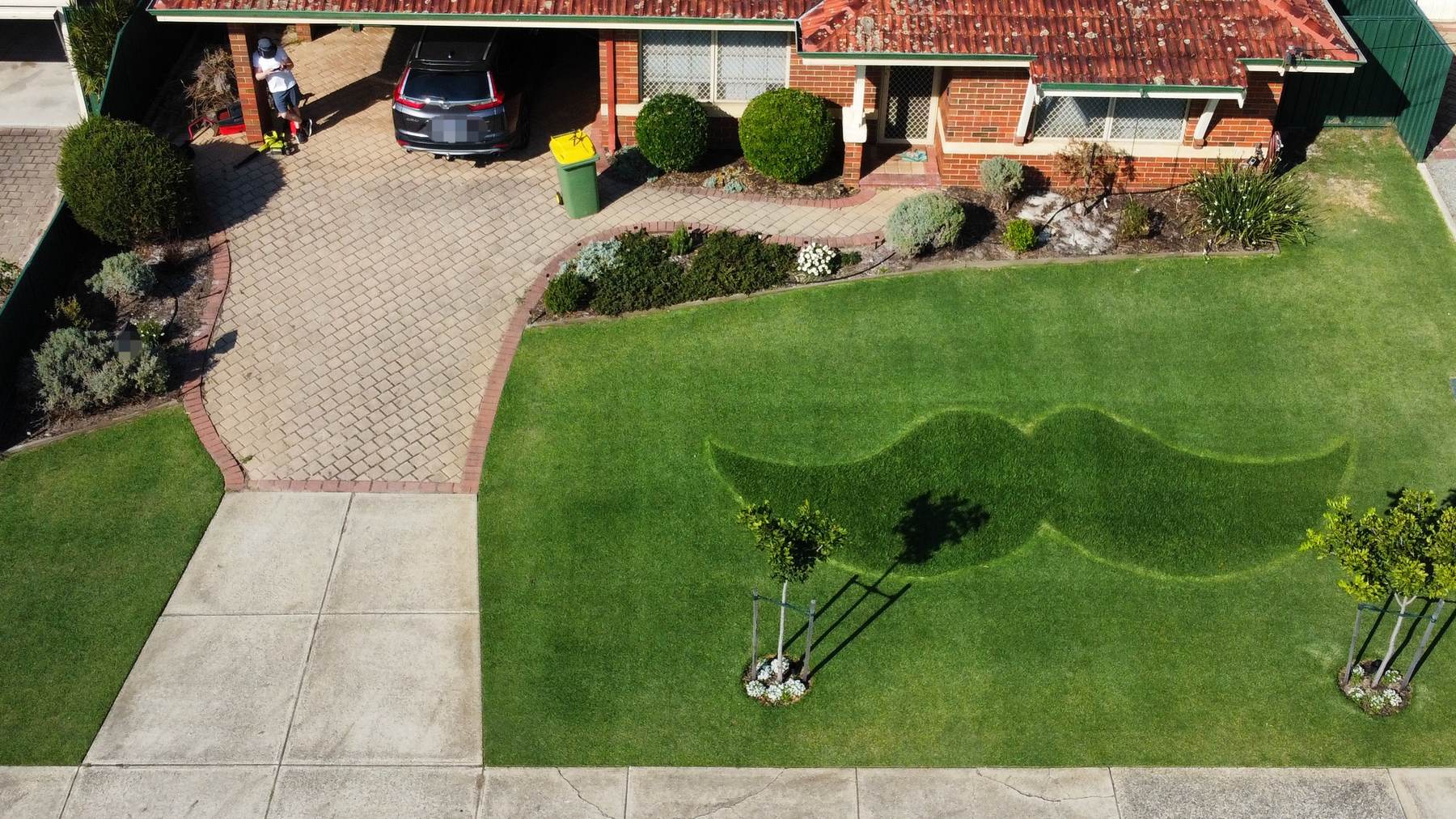 Aerial view of a suburban front lawn with a moustache mown into it